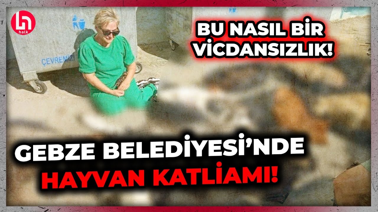 Gebze’de katliam! Onlarca cana kıyanlar vicdanınız rahat mı?!