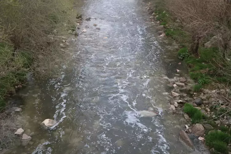 Gerede Çayı'ndaki kirliliğin nedeni 'deri sanayiindeki içerikler'