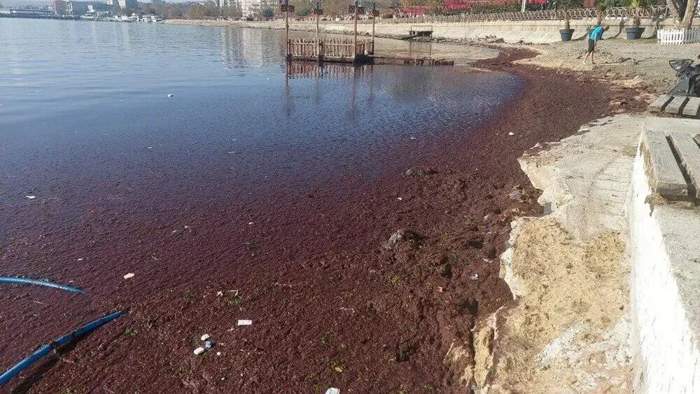 Tekirdağ'da sahiller kırmızıya döndü