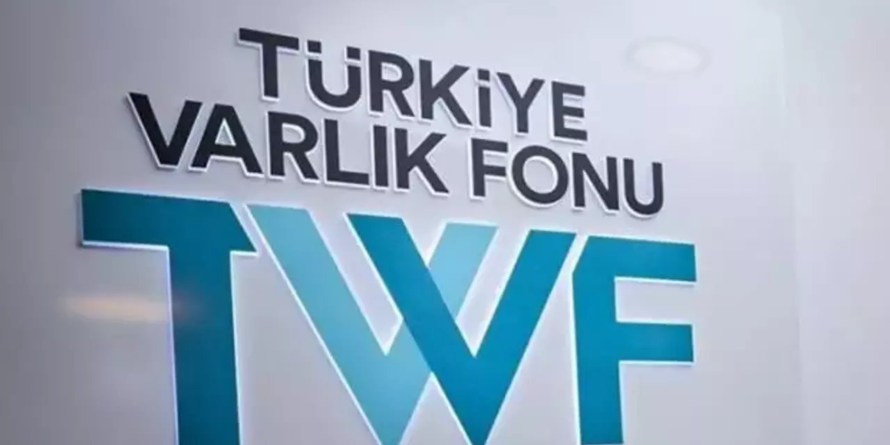 Türkiye Varlık Fonu'na devredilen 3 şirket tescillendi