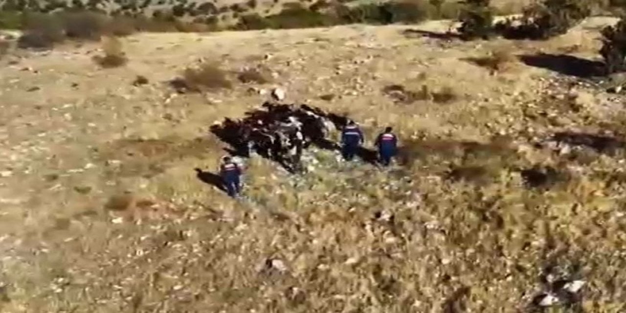 Jandarma kayıp keçiler dronla buldu