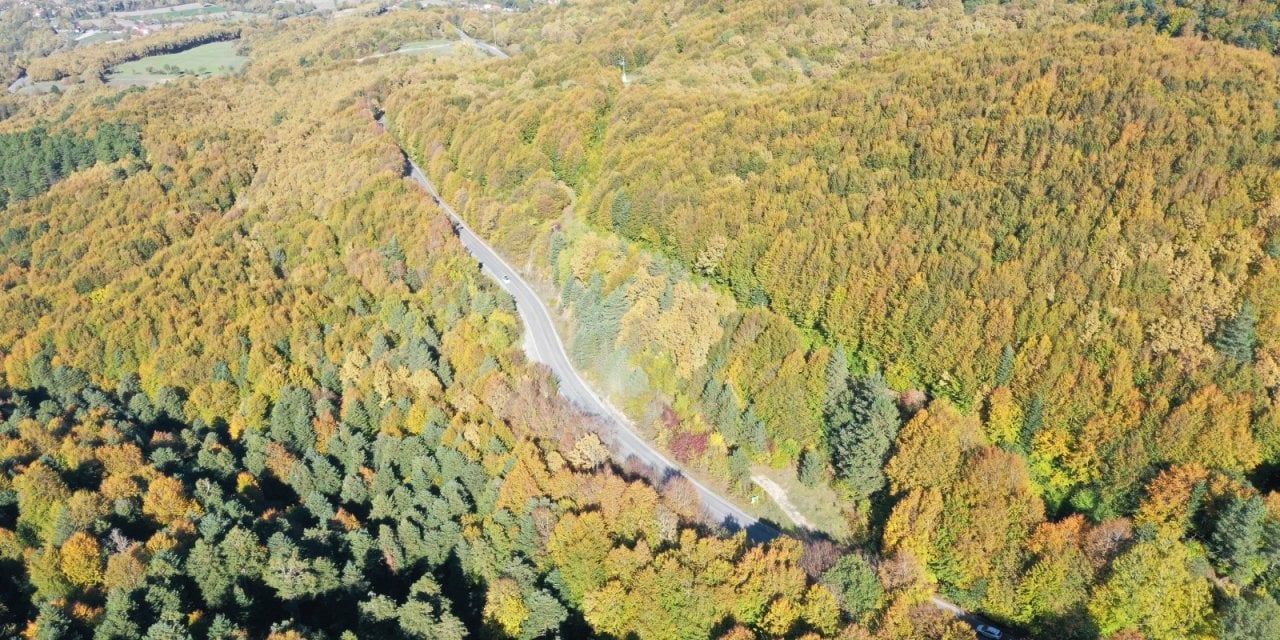 Gölcük Tabiat Parkı açık hava fotoğraf stüdyosuna dönüştü