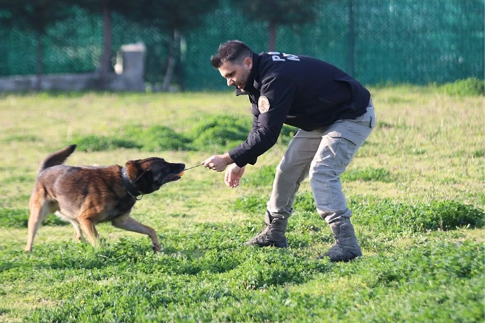 Narkotik köpeği Ares operasyonda yaşamını yitirdi. İstanbul Emniyeti yasa boğuldu