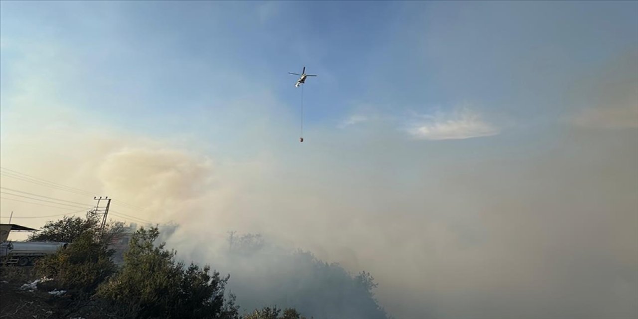 Hatay'da çıkan orman yangını kontrol altına alındı