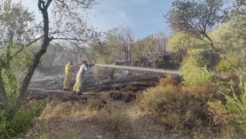 Muğla'da çıkan orman yangını kontrol altına alındı