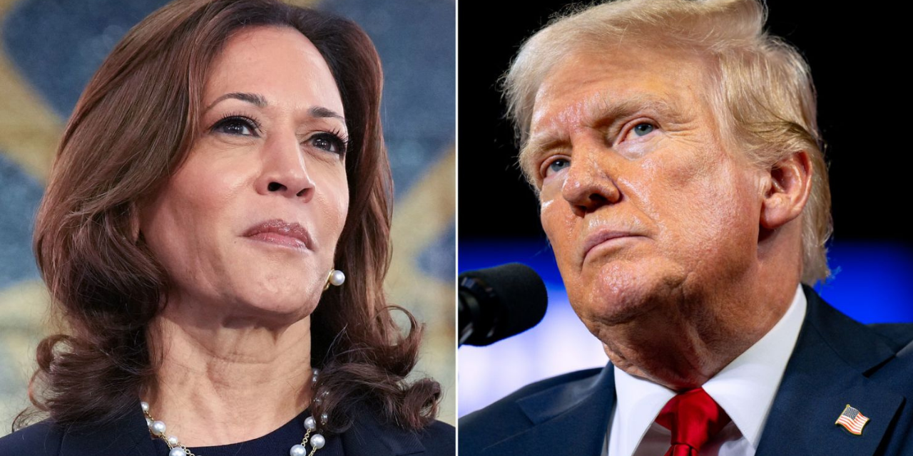 ABD'nin yeni başkanı Donald Trump mı Kamala Harris mi olacak?