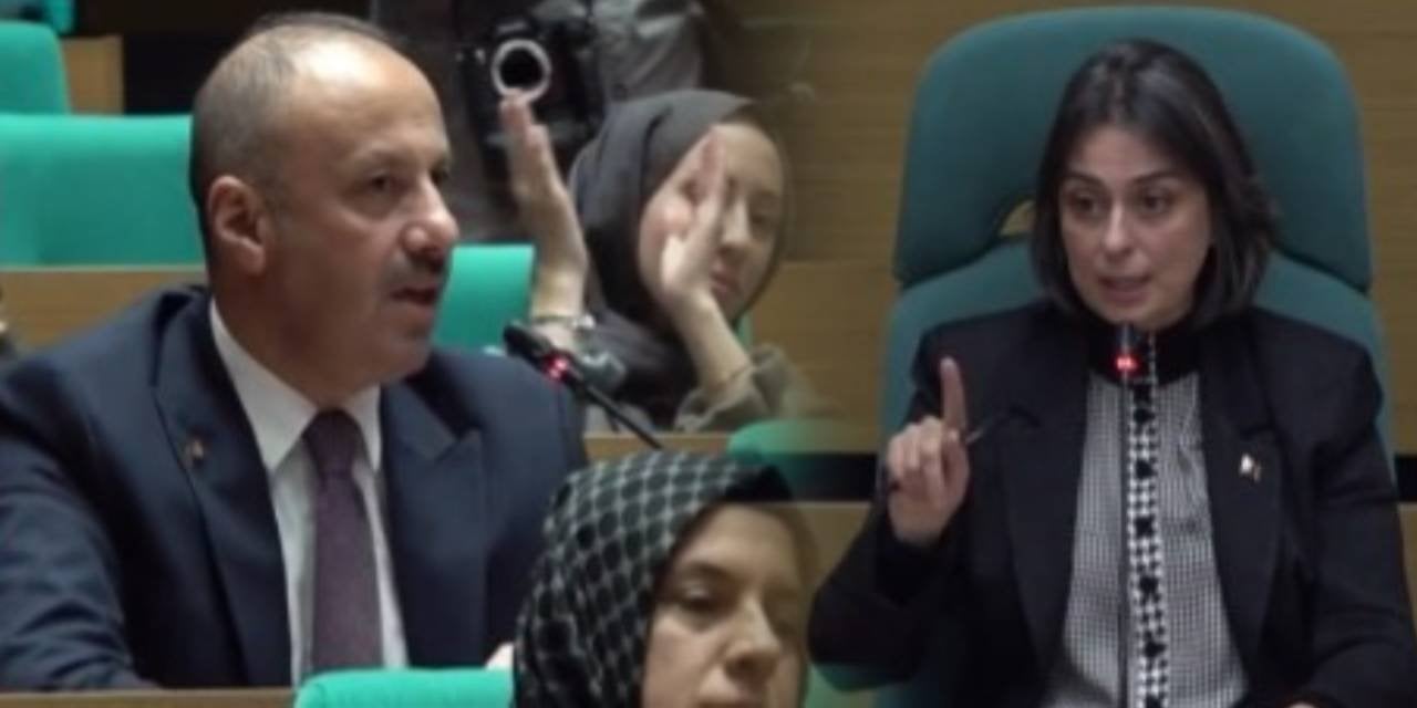 AKP'li Meclis üyesi 'Milli iradaye değil, teröre müdahale' dedi. Sinem Dedetaş sert tepki gösterdi