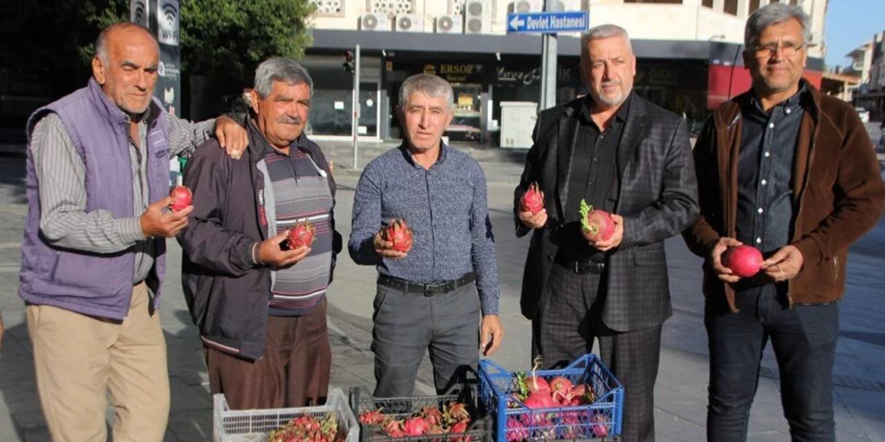 Trump'ın zaferine ilginç kutlama. 500 kilo turp 2 bin ejder meyvesi dağıttı