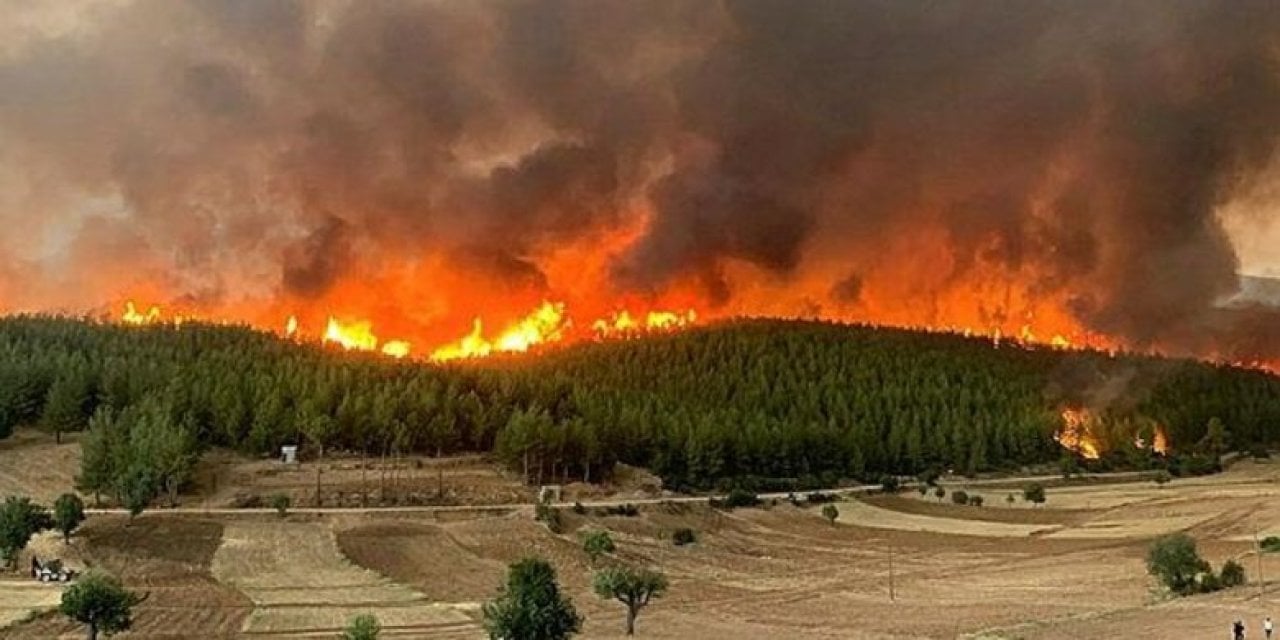 Yangınlara müdahale edilmeme nedeni ortaya çıktı. 72 yerdeki yangınlar ciğerimizi yakmıştı