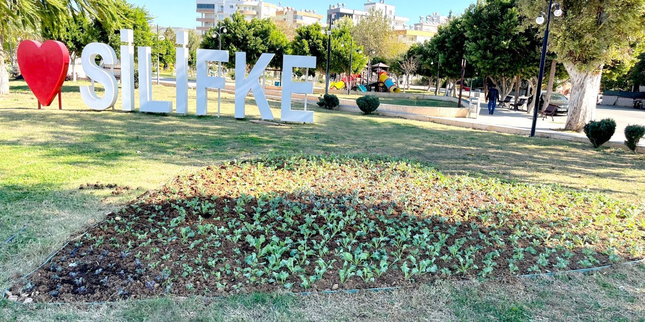 Silifke Belediyesi, ilçeyi seralarında ürettiği çiçeklerle süslüyor