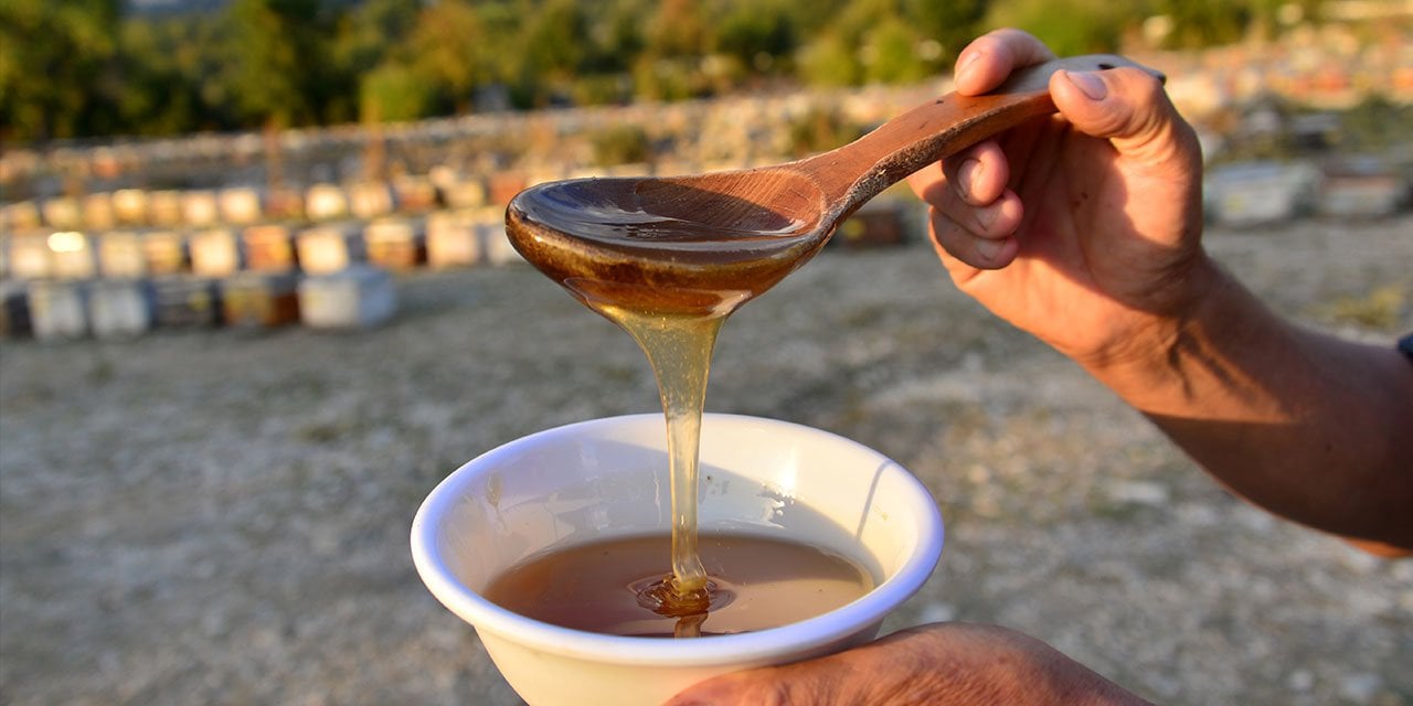 Şeker oranı en düşük bal mermer ocağından kurtuldu