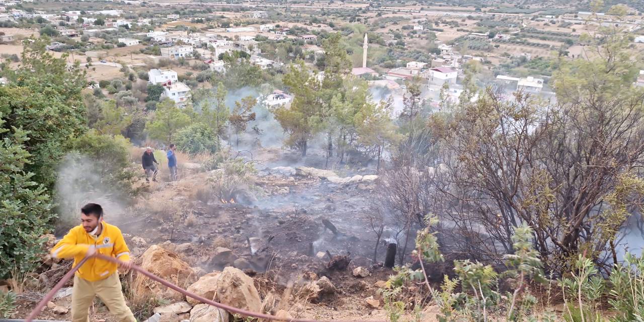 Mersin'de çıkan orman yangını kontrol altına alındı
