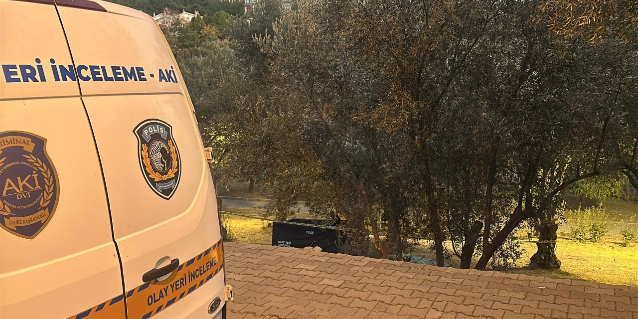 Zeytin toplamak isterken canından oldu