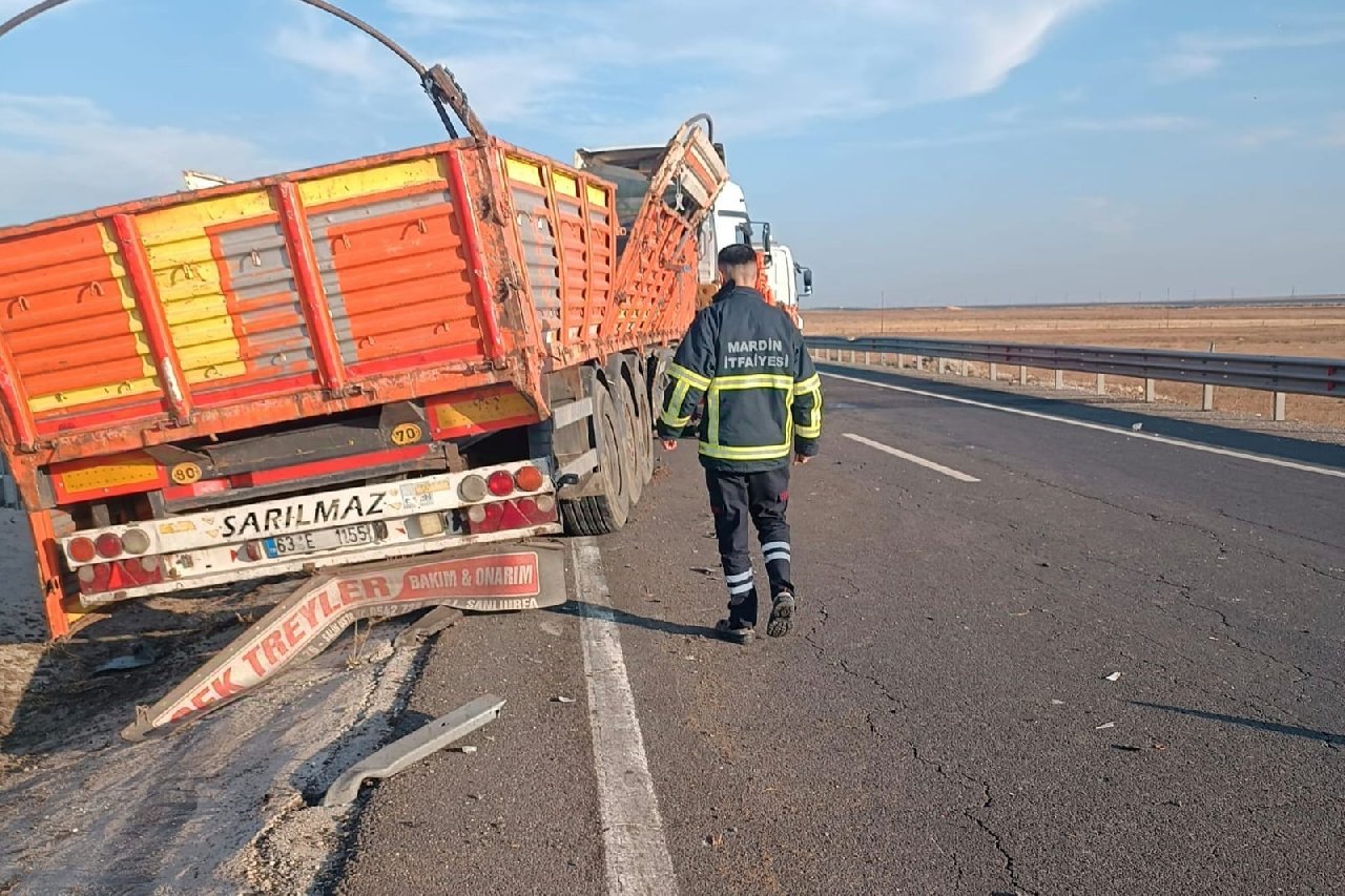 Bariyerlere çarpan TIR’ın dorsesindeki 2 büyükbaş telef oldu