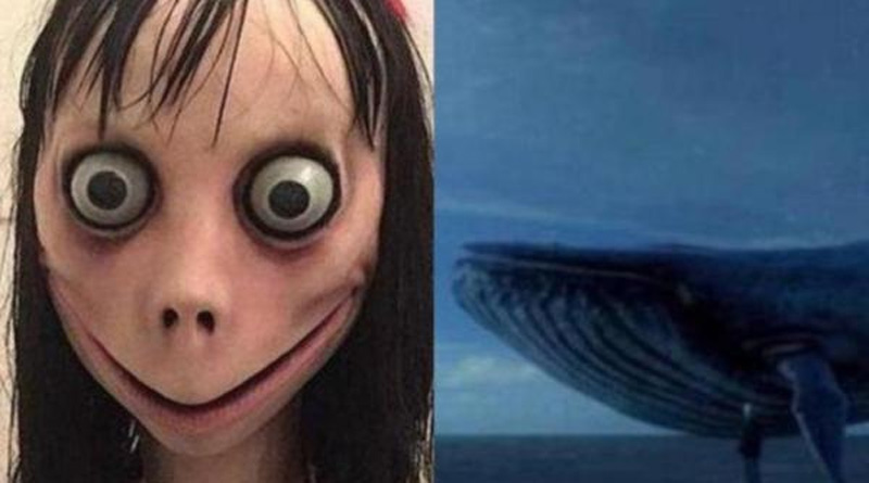 Bakan'dan 'Mavi Balina' ve 'Momo' açıklaması