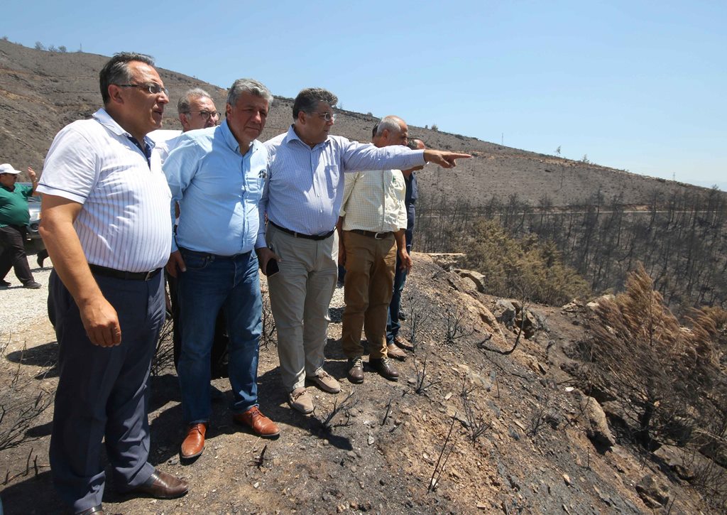 CHP'li vekiller İzmir'de yanan orman alanlarını inceledi