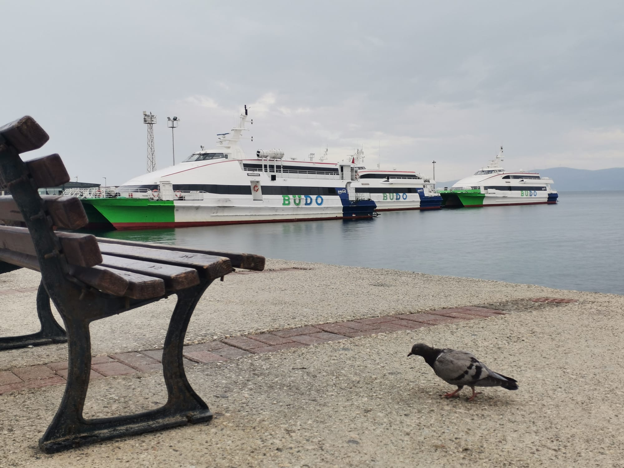 Bursa Deniz Otobüsleri seferlerinin tamamı iptal edildi