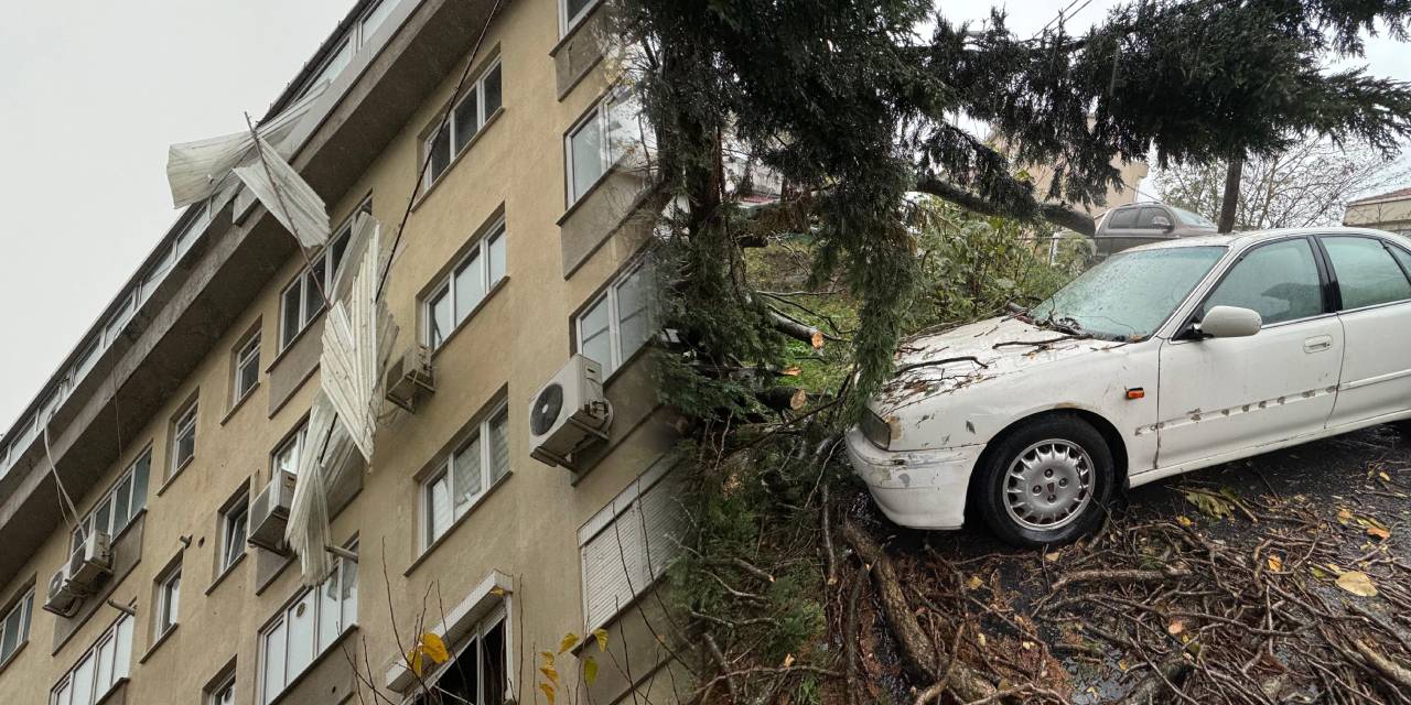 İstanbul'da lodos kabusu! Çatılar koptu ağaçlar devrildi