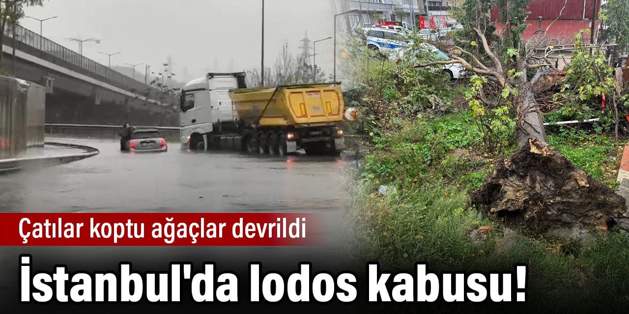 İstanbul'da lodos kabusu! Çatılar koptu ağaçlar devrildi