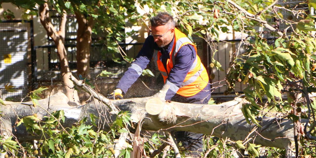 Antalya Büyükşehir Belediyesi fırtına sonrası çalışmalara başladı