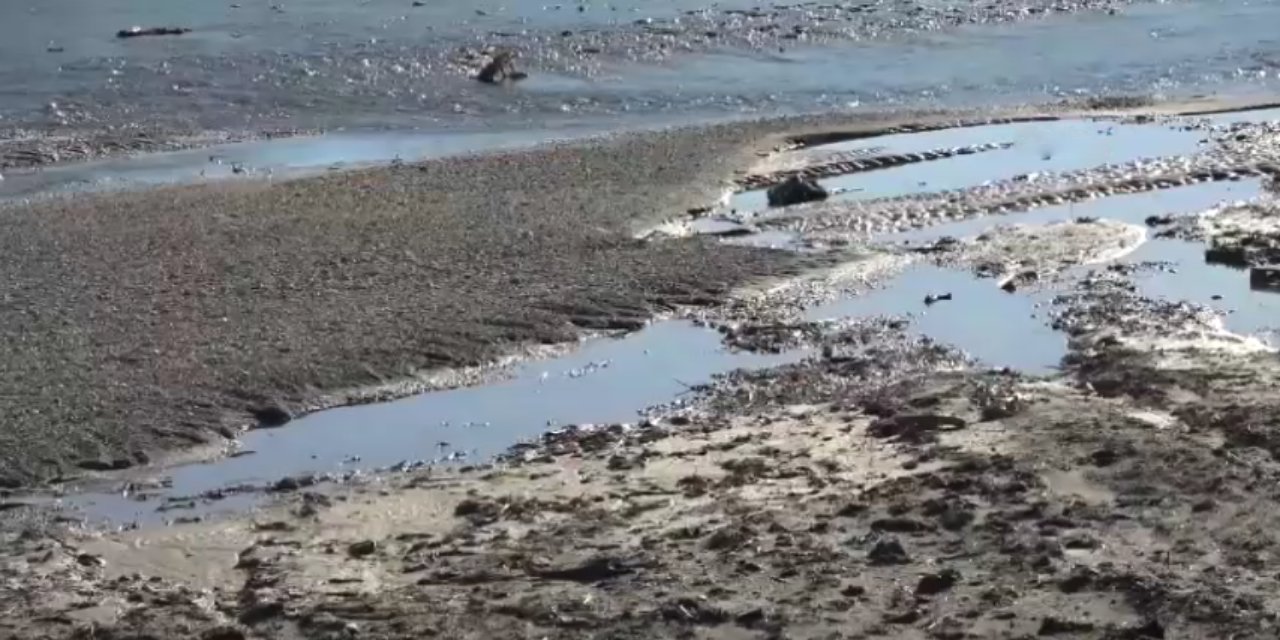 Antalya'da 3 çocuk balçığa saplandı