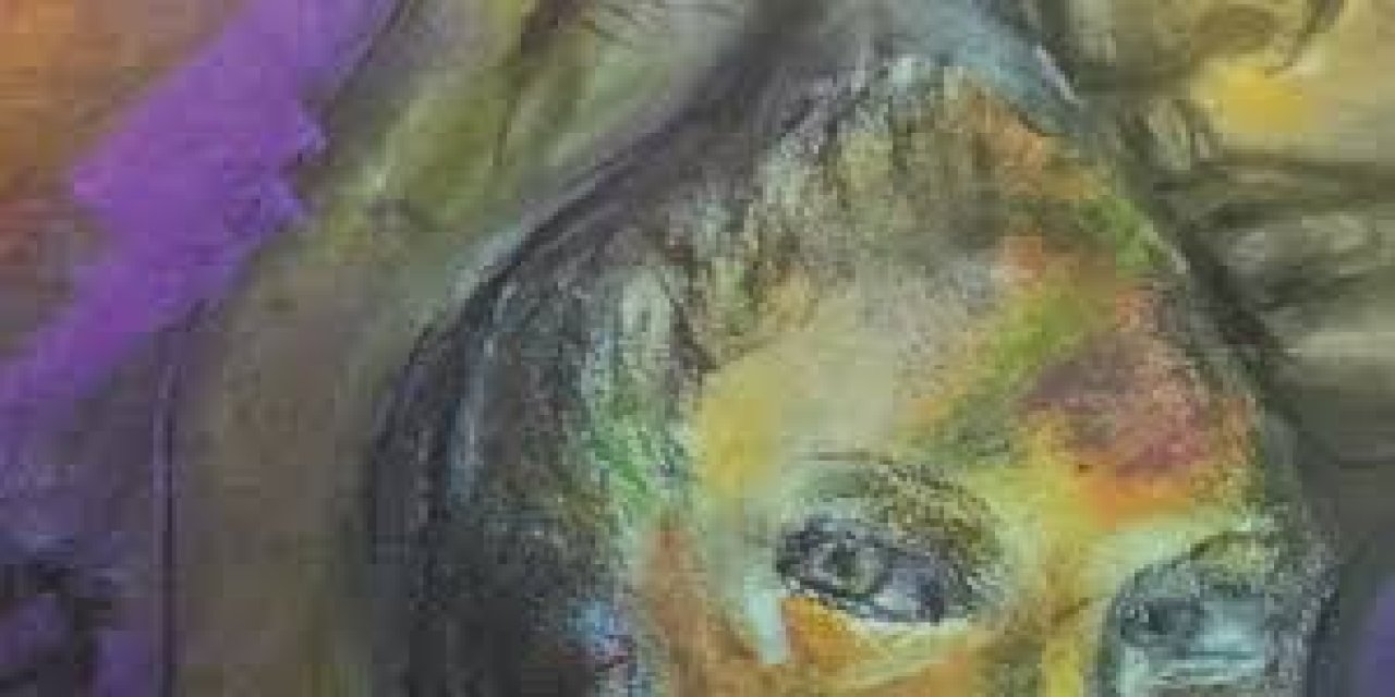 Hadise, 20 Bin Euro’ya Uçak Kiraladı