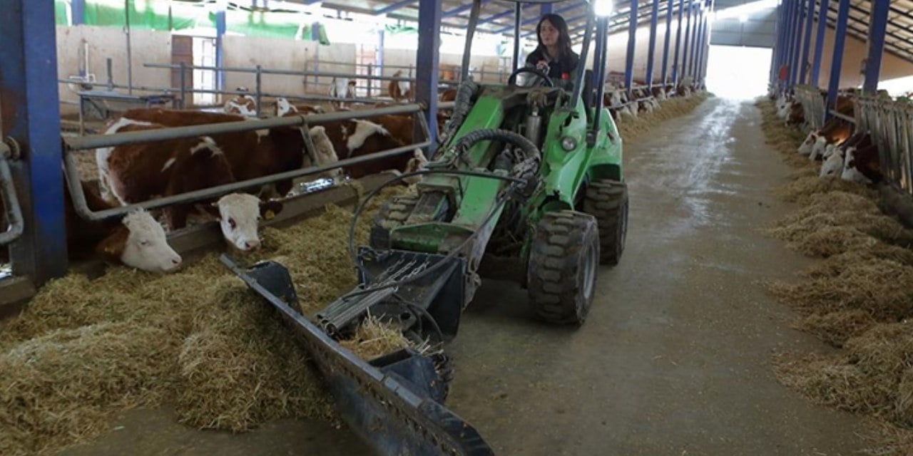 Çorumlu Fizik Mühendisi parayı çiftlikten buldu