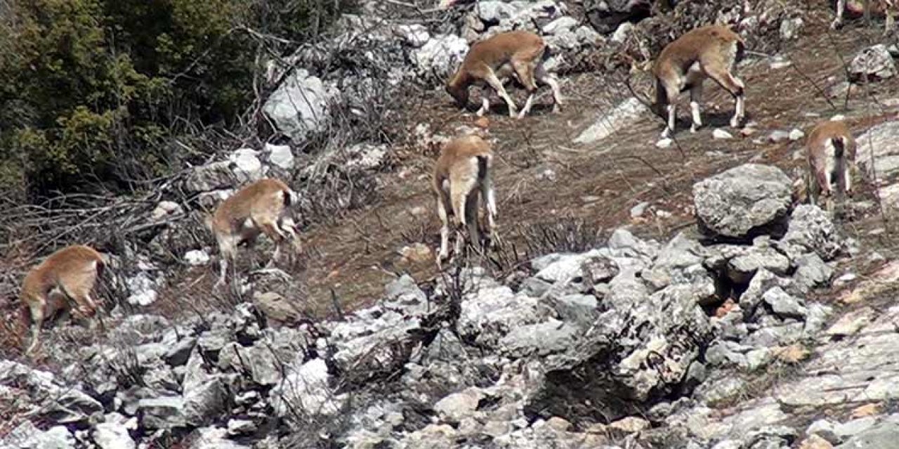 ABD’den, Türkiye’deki Vatandaşlarına Uyarı!