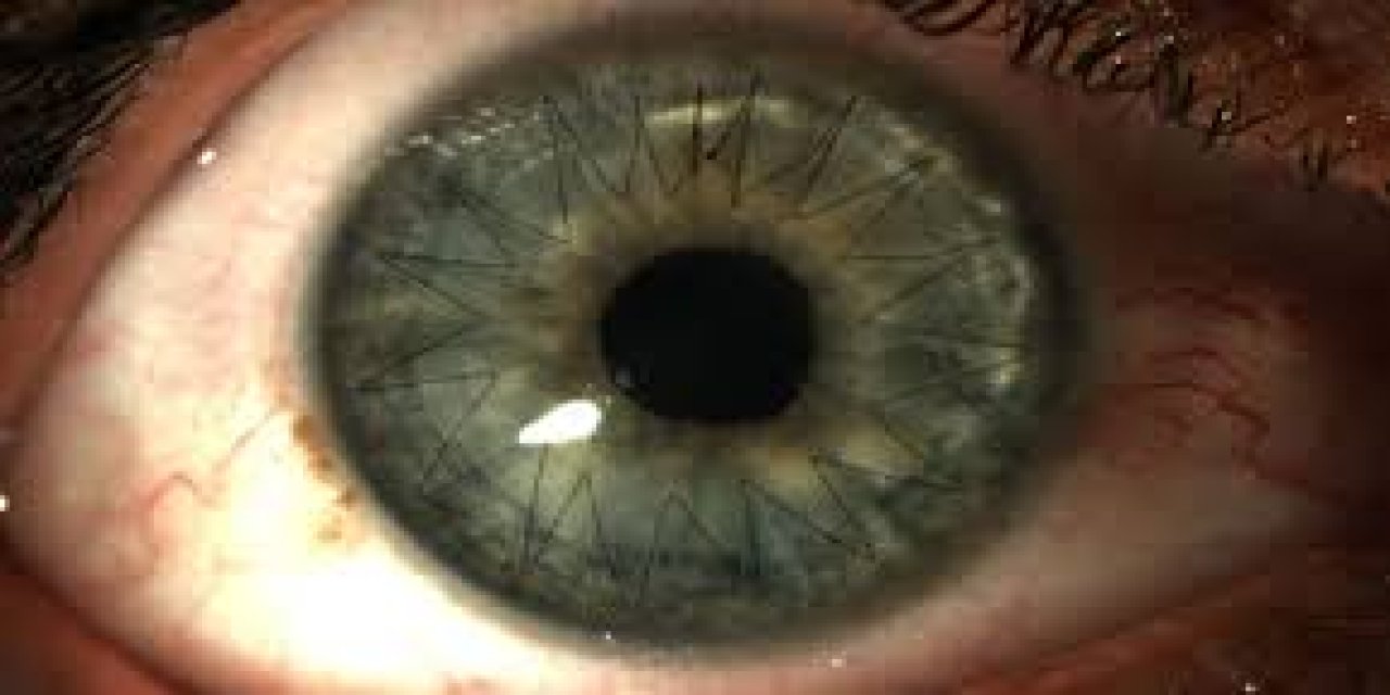 '' Yıldız, Dağlıca'da 1 Gece Nöbet Tutsun...'