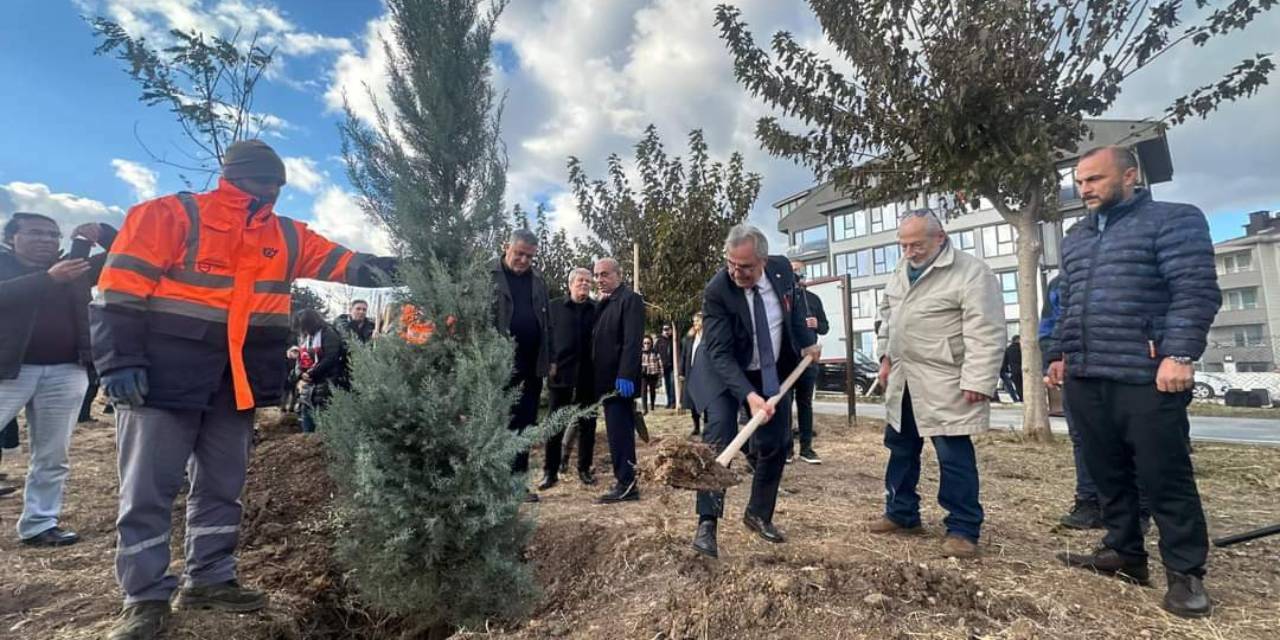 Katledilen kadınlar anısına 'Yaşam Ormanı' kuruldu