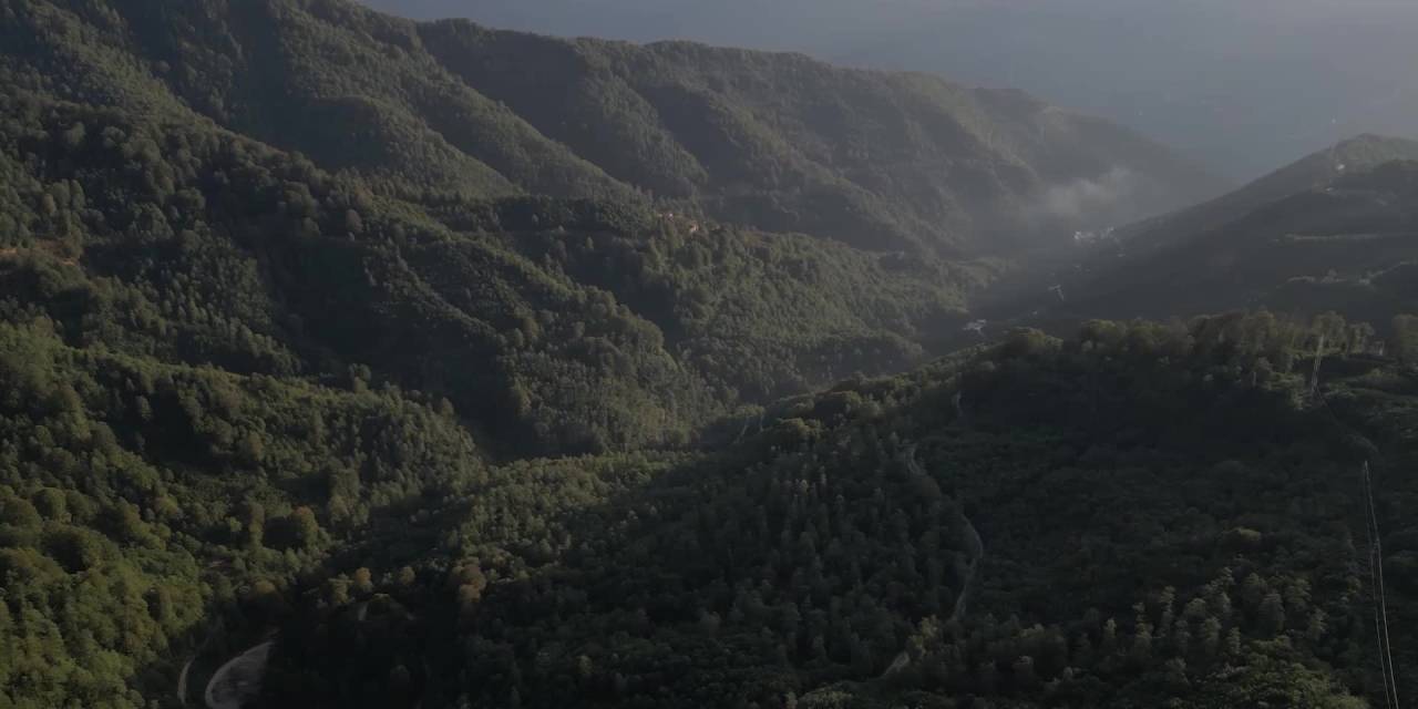 Artvin planlanan 10 maden ihalesinin iptal edilmesini istiyor