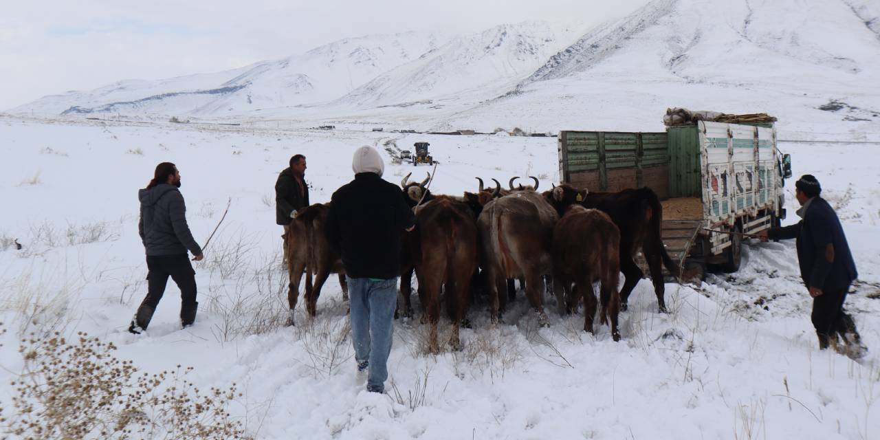 Büyükbaş hayvanlarıyla karda mahsur kalan vatandaşlar kurtarıldı