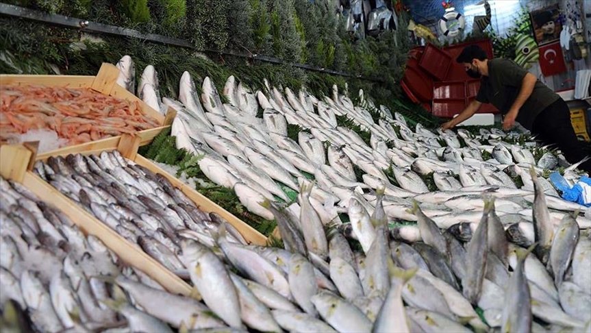Boyu 2 metre. Kilosu dana kuşbaşıyla aynı fiyata satılıyor