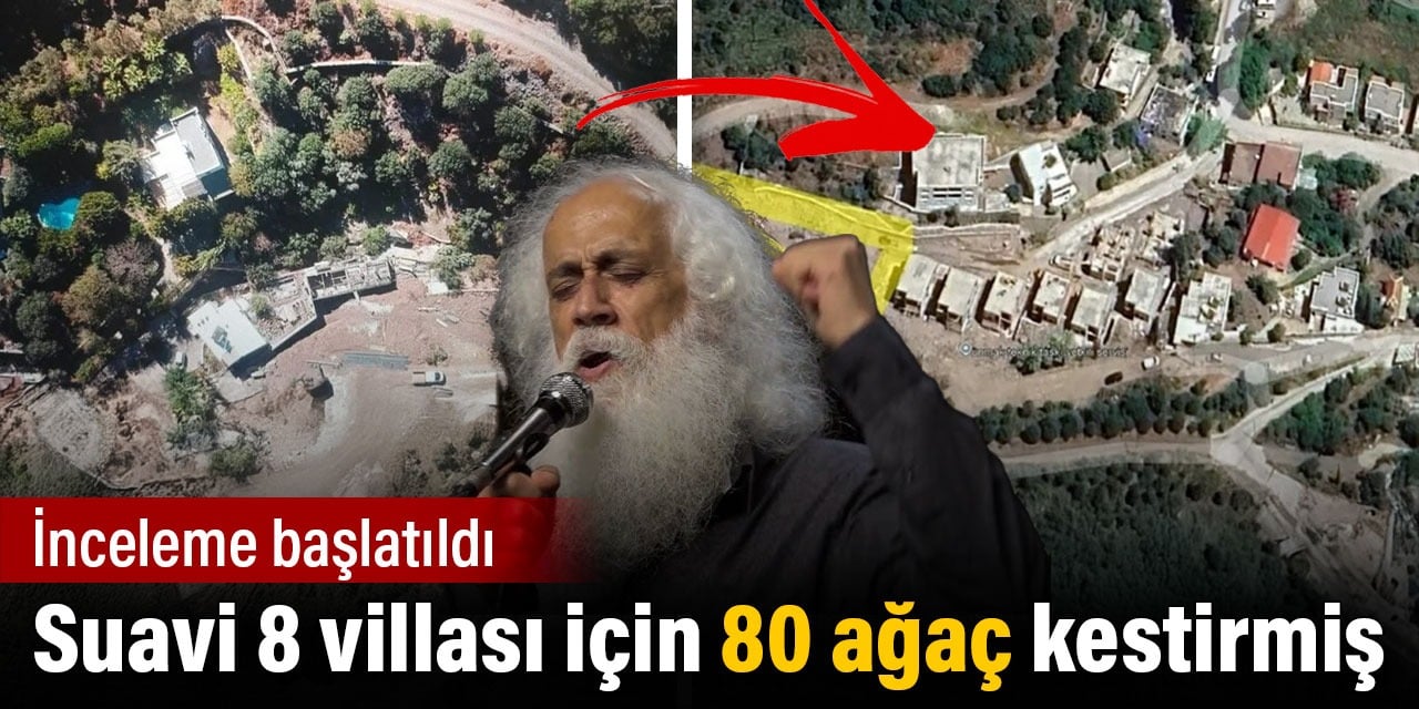 Suavi 8 villası için 80 ağaç kestirmiş. İnceleme başlatıldı