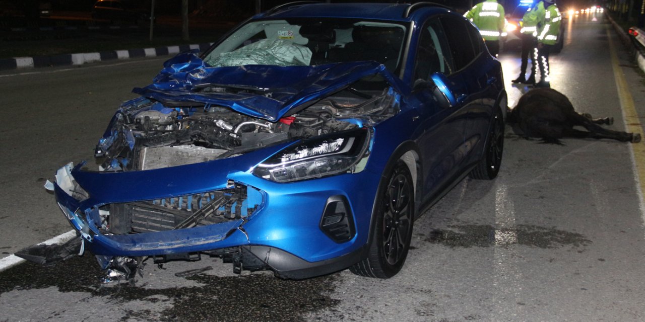 Otomobil ata çarptı: 3 yaralı