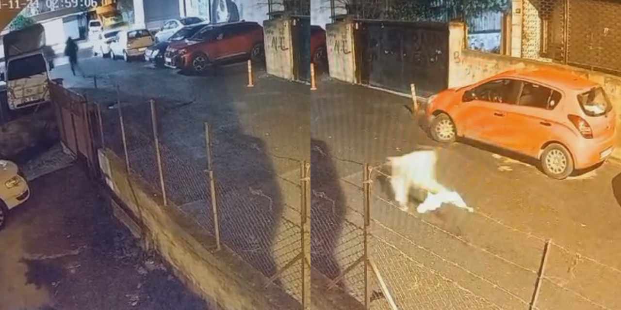 Lüks araçtan inerek cinayet işlediler. Yaya olarak kaçtılar