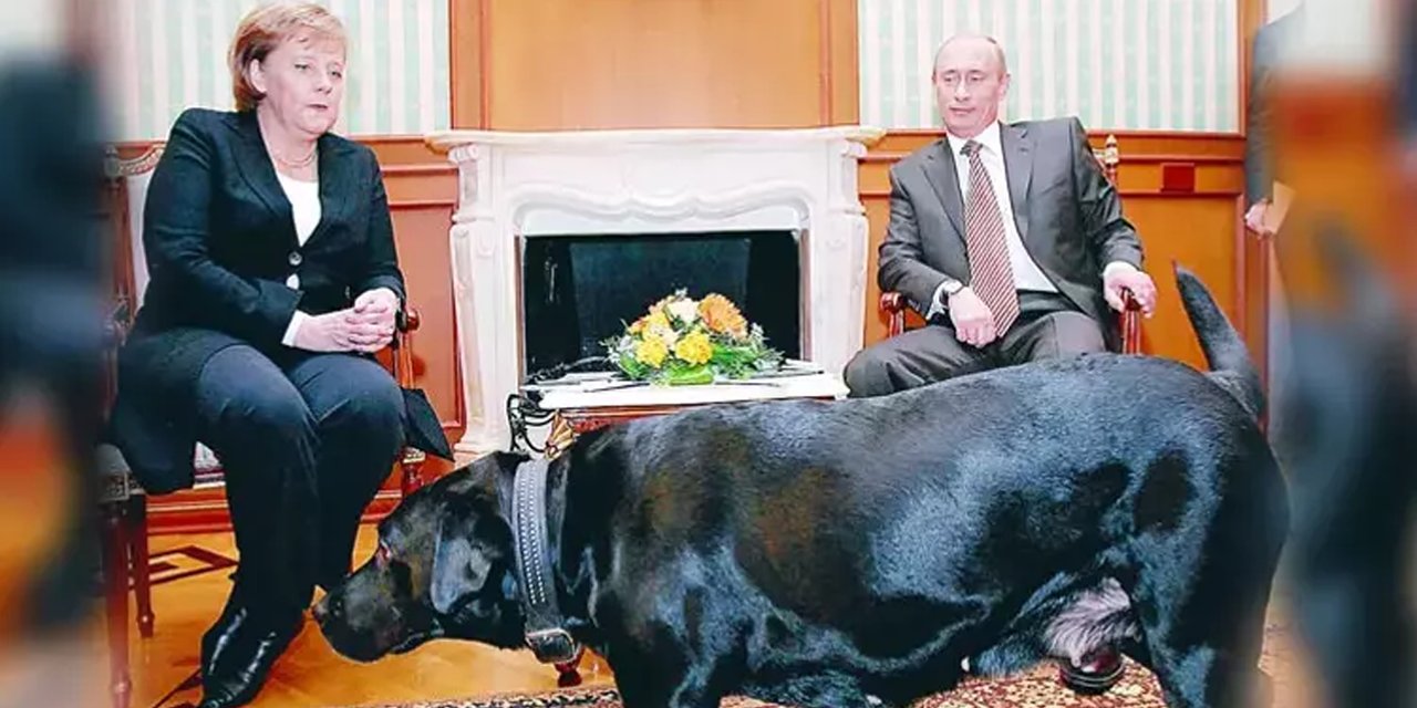 Putin Angela'dan yıllar sonra özür diledi
