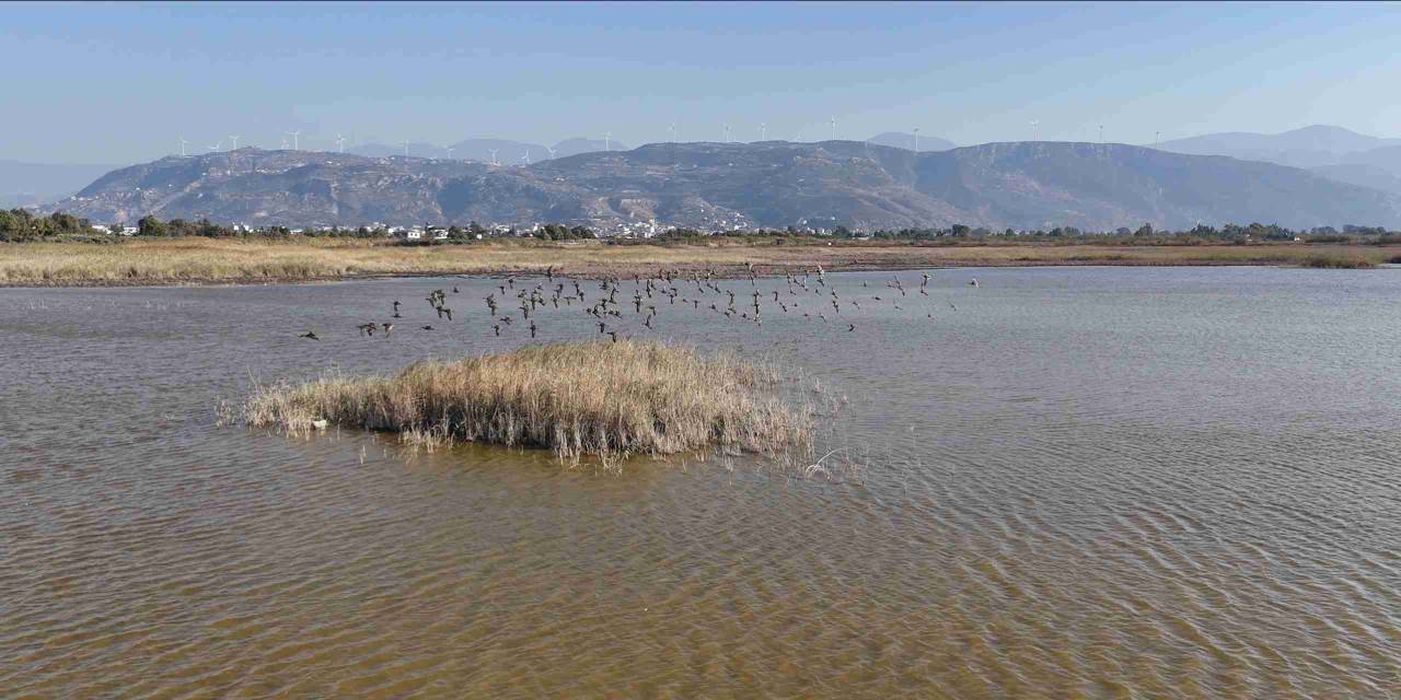 Kuş cenneti eski günlerine döndü