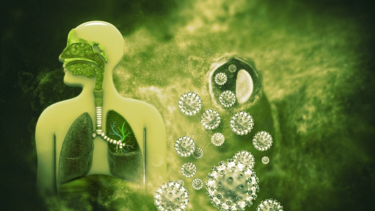 Uzmanı açıkladı: Korkmayın bu virüsten kurtulabilirsiniz