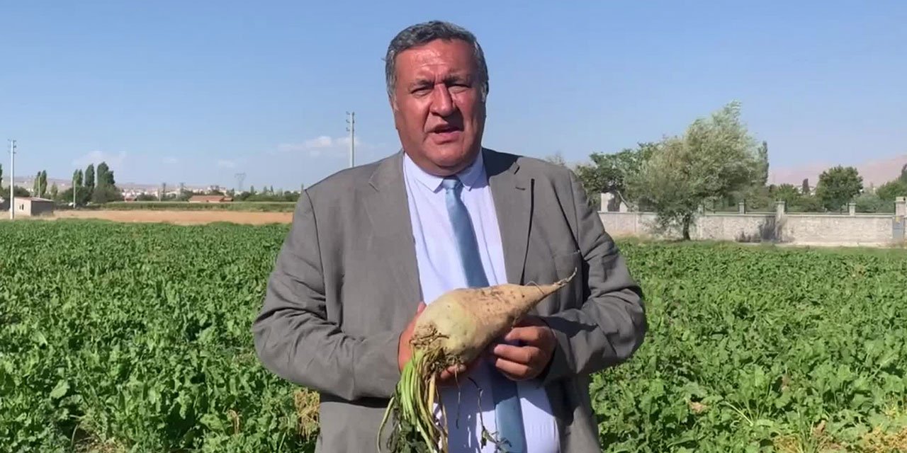 CHP'li Gürer'den 'şeker ithalatından vazgeçin' çıkışı