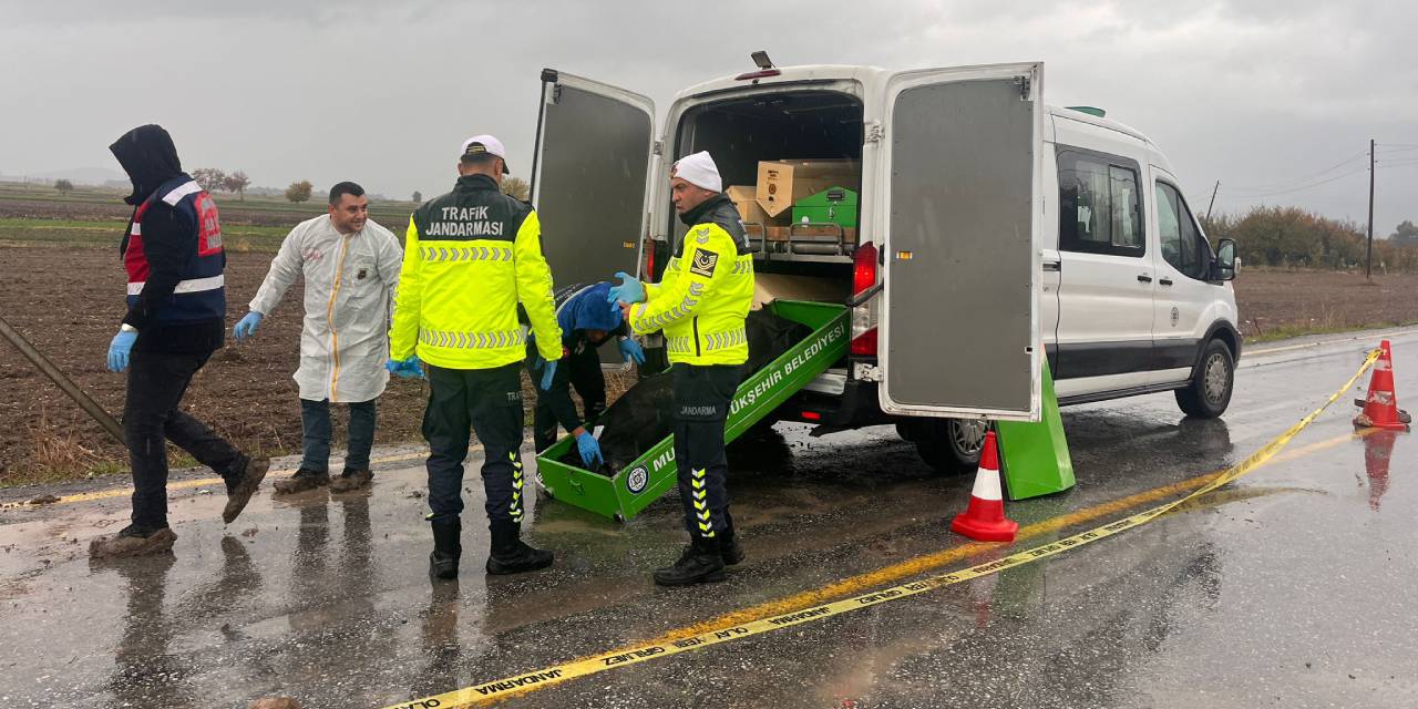 Yol kenarında erkek cesedi bulundu
