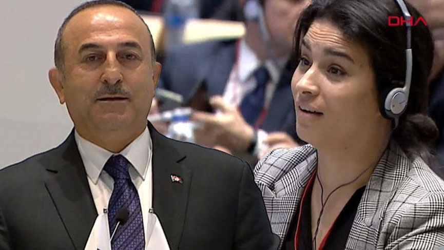 Çavuşoğlu ile atışan Fransız parlamenter: Beni Twitter’da engelledi