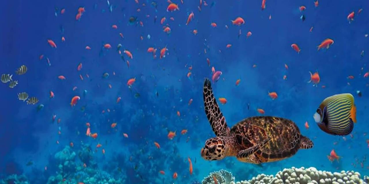 Yahnisini yedikten sonra 3 kişi öldü. 32 kişi zehirlendi