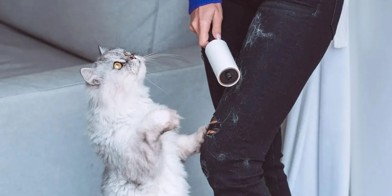 Artık yapışkan ruloya ihtiyacınız olmayacak. Kıyafetlerdeki tüylerden kurtulmak çok kolay