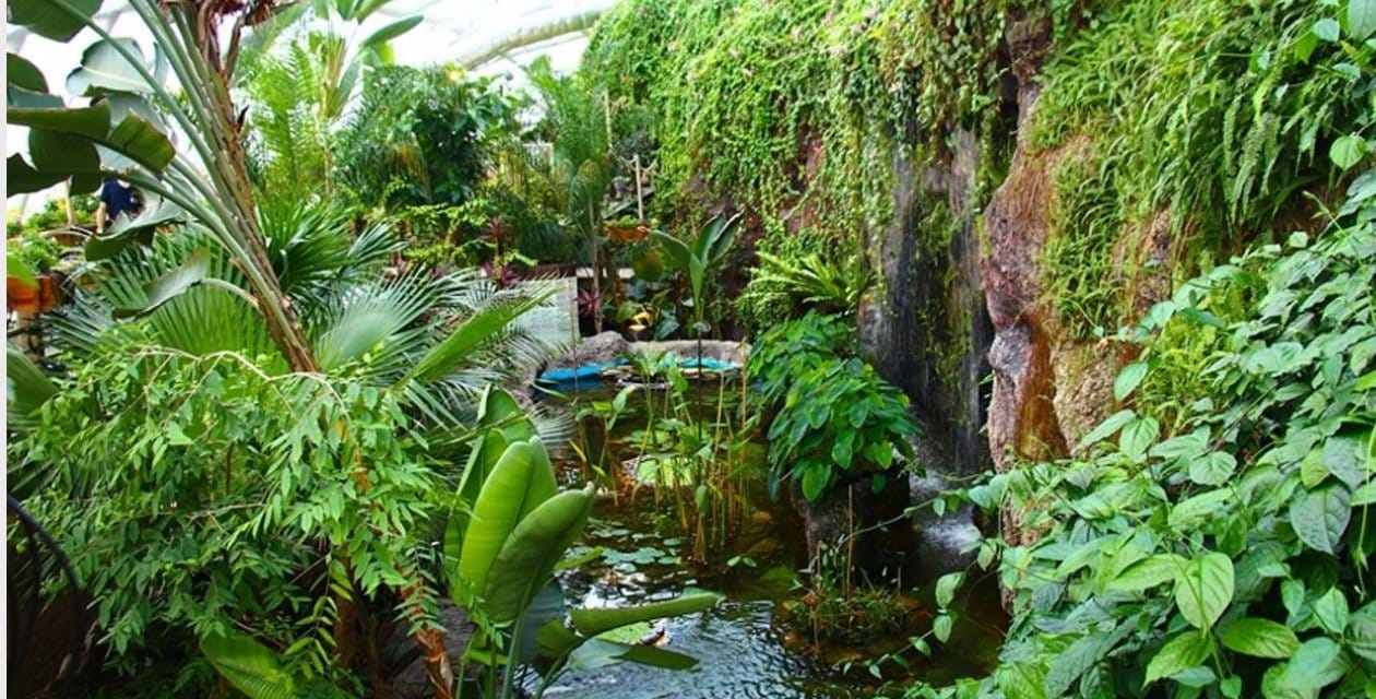 Dünyada 4 tane var! Biri Konya’da bulunuyor