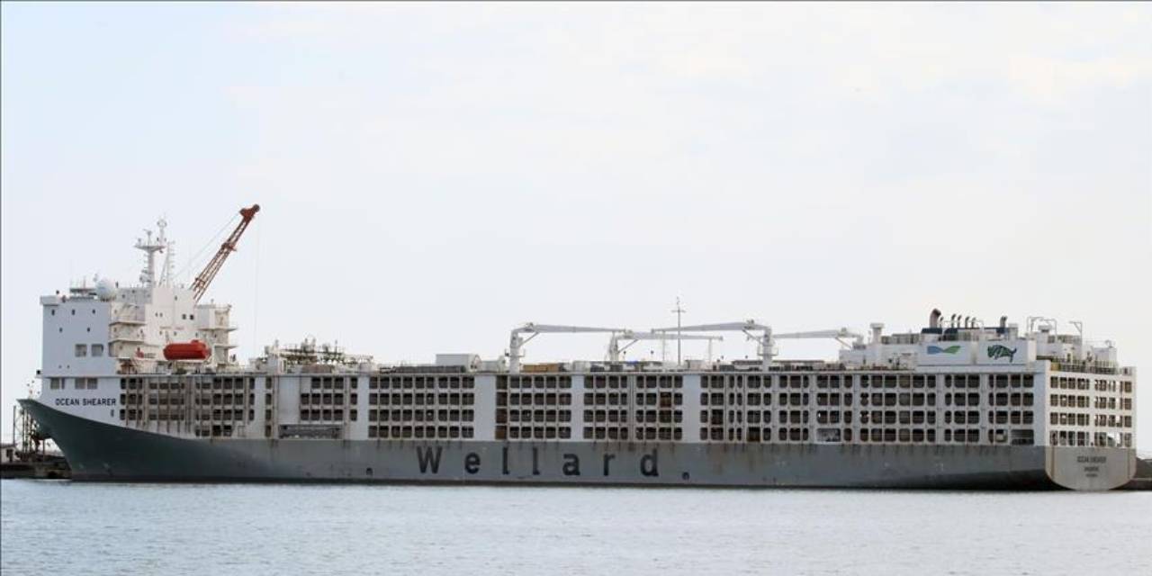 Türkiye’ye yola çıktı. Brezilya’dan yüzbinlerce deniz yoluyla gelecek