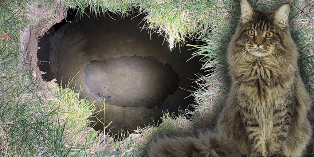 Kedisini ararken 9 metrelik obruğa mı düştü? Arabası bulundu