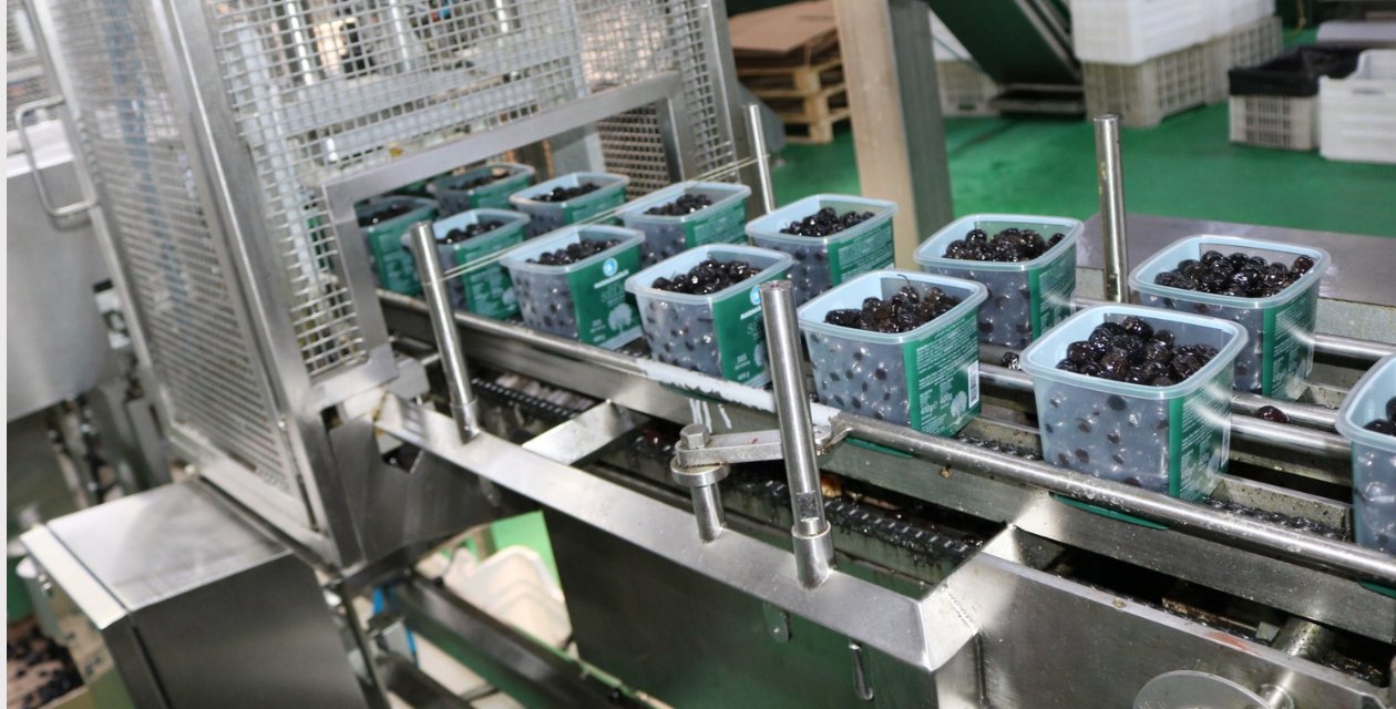 Marmarabirlik açıkladı: İkinci ödemeler hesaplara yatacak