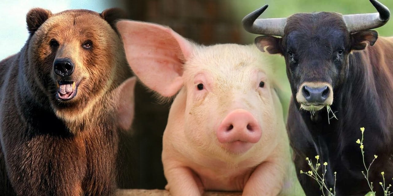 Hangi hayvan isimleri hakarete giriyor.  Hakaret etmeden önce bu listeye bakın