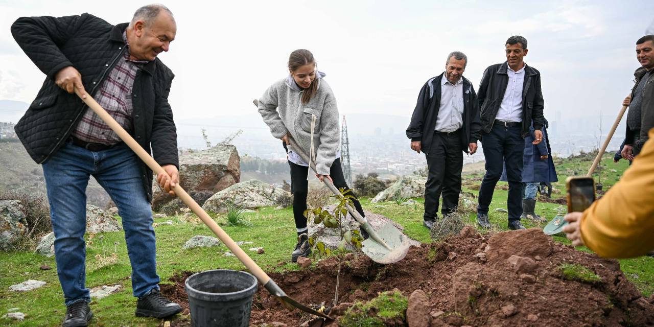 İzmir'de yangının yaralarını sarmak için ağaç dikiliyor